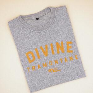 T-Shirt Gris Divine Tram